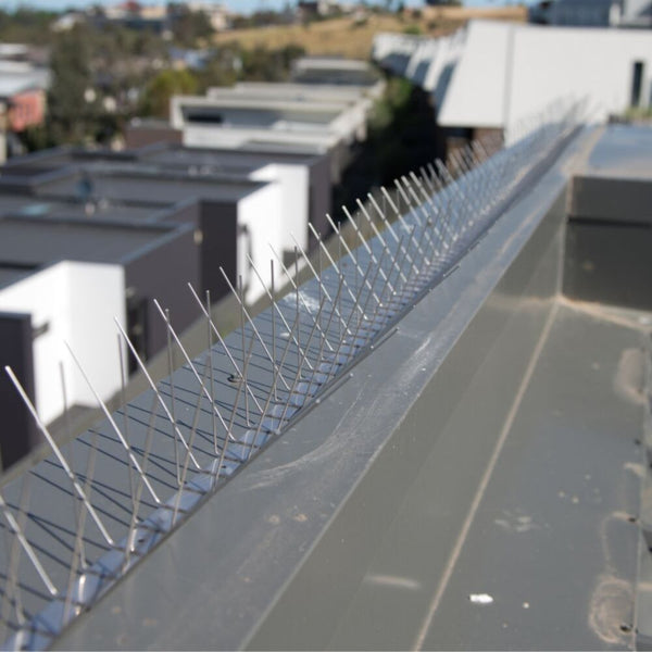 Stainless Steel Bird Spikes - Wide Installed