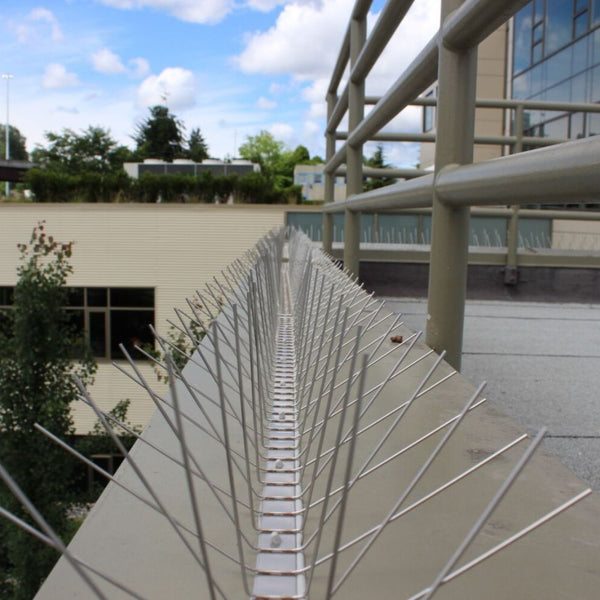 Stainless Steel Bird Spikes - Extra Wide Installed