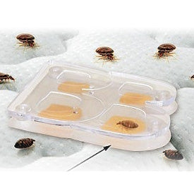 Bed Bug Monitors