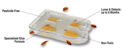 Bed Bug Monitor | Detect Bedbugs Early | BUY ONLINE – Easy Pest Supplies