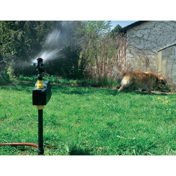 Solar Water Animal Repeller